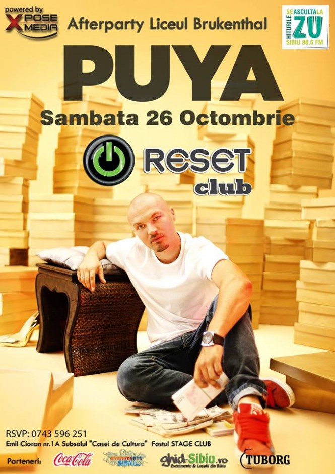 2013-10-Reset-PUYA