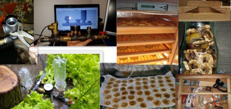 Viață sănătoasă cu soluții home-made