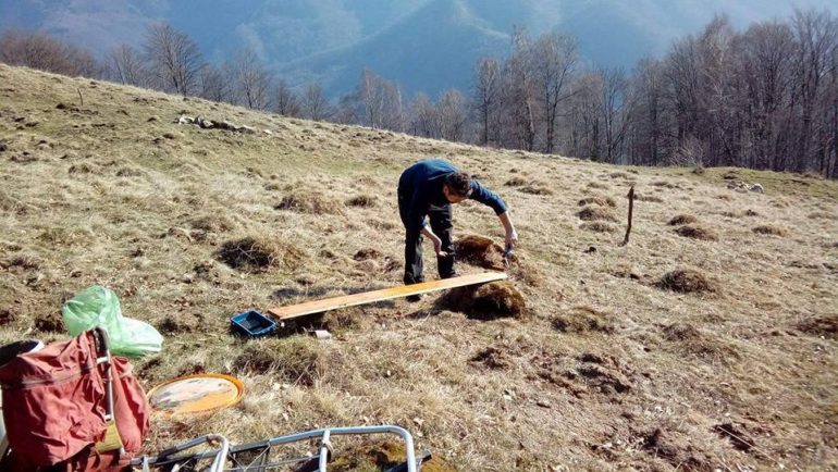 Voluntariat la Casuta din Munti